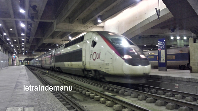 letraindemanu (376b) TGV en provenance de Pau en gare Montparnasse.jpg
