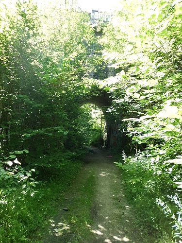 Dampmart - Chemin des Tartreux 2.JPG
