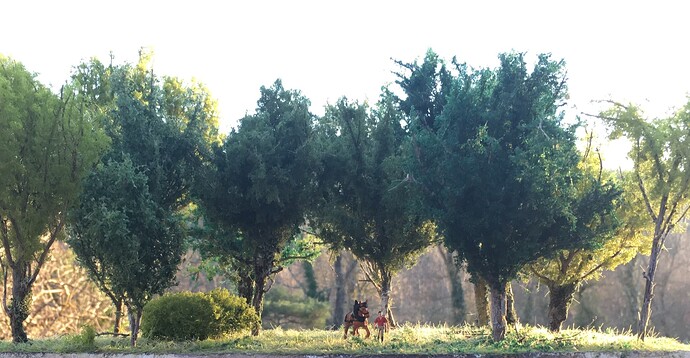 Sous les arbres avec le cheval