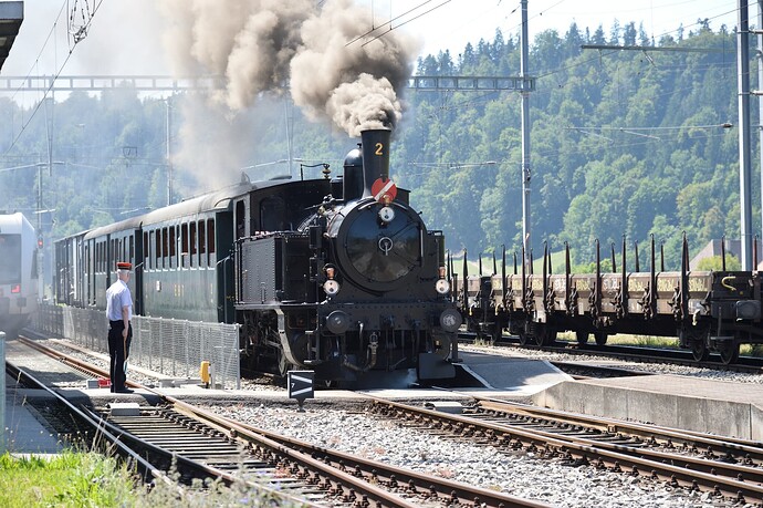Sumiswald 31