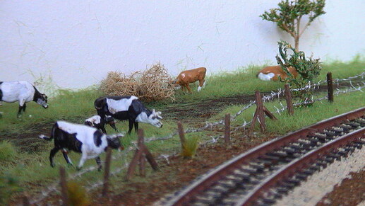 Vache et veau