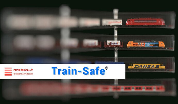 letraindemanu (2916) Vitrines Train-Safe (1)