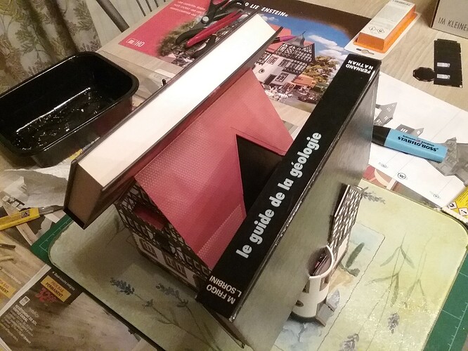 20251103_185636_copy_1024x768