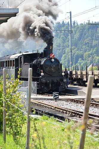 Sumiswald 30