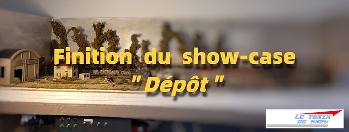 letraindemanu (2280) Réseau Ho finition show-case dépôt