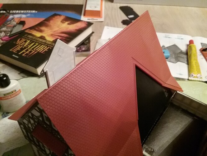 20251103_185408_copy_1024x768