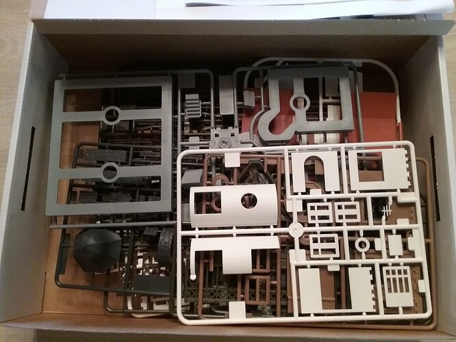 20251019_125610_copy_1024x768