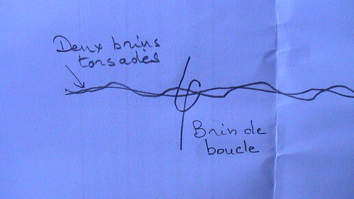 Boucle barbelé