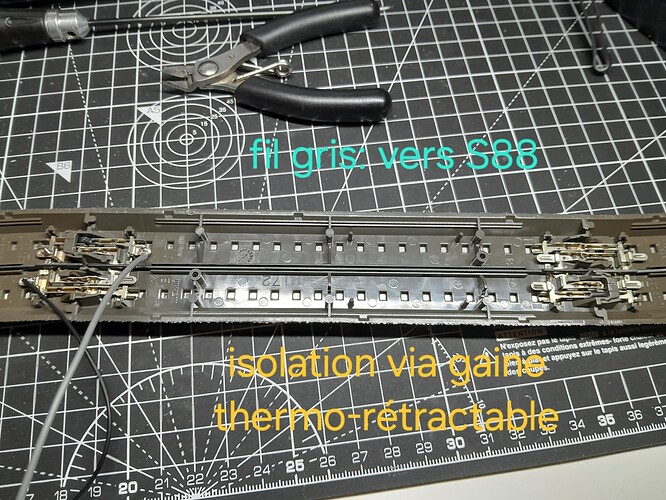 20241215_181852