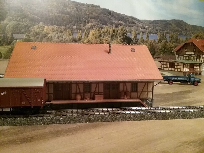 20251011_201027_copy_1024x768