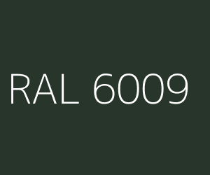 RAL-6009-couleur-300x250